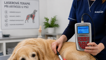 laservet 3.0 laser pro psy artrozu