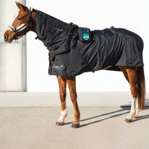 Kůň s terapeutickou dekou, krčním dílem a připevněným přístrojem MagnetoVet 4000 Horse Pro